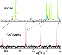 Graphical abstract: The tridentate metal-binding sites of the common glycoses