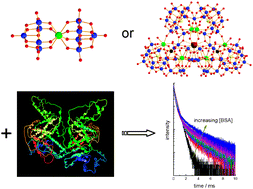 Graphical abstract: The photophysics of europium and terbium polyoxometalates and their interaction with serum albumin: a time-resolved luminescence study