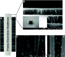 Graphical abstract: Novel ACNT arrays based MEA structure-nano-Pt loaded ACNT/Nafion/ACNT for fuel cell applications