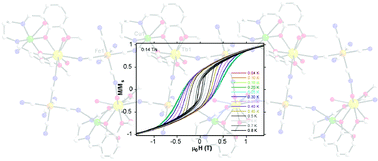 Graphical abstract: A heterotrimetallic 3d–3d′–4f single chain magnet constructed from anisotropic high-spin 3d–4f nodes and paramagnetic spacers