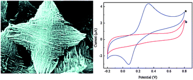 Graphical abstract: Unique tetragonal starlike polyaniline microstructure and its application in electrochemical biosensing