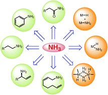 Graphical abstract: Advances in selective activation and application of ammonia in homogeneous catalysis