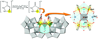 Graphical abstract: New tetra(organotin)-decorated boat-like polyoxometalate