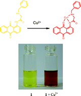 Graphical abstract: Colorimetric sensing of Cu(ii): Cu(ii) induced deprotonation of an amide responsible for color changes