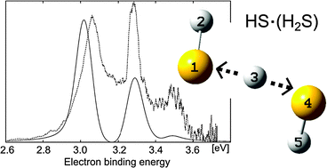 Graphical abstract: Photodetachment–photoelectron spectroscopy of HS−·H2S and DS−·D2S: the transition states of the SH + H2S and SD + D2S reactions