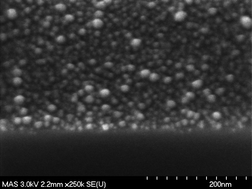 Graphical abstract: Deposition of palladium catalyzed copper films by the displacement of two immiscible supercritical phases and subsequent reaction