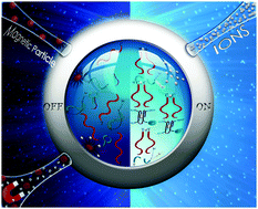 Graphical abstract: Ion-induced DNAzyme switches