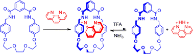 Graphical abstract: Acid/base controllable molecular switch based on a neutral phenanthroline guest penetrated pseudorotaxane