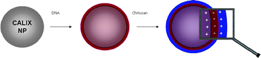 Graphical abstract: Cell transfection using layer-by-layer (LbL) coated calixarene-based solid lipid nanoparticles (SLNs)