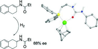 Graphical abstract: Rhodium-P,O-bidentate coordinated ureaphosphine ligands for asymmetric hydrogenation reactions