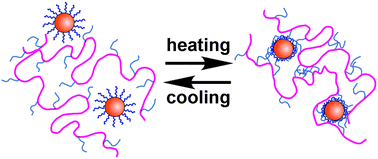 Graphical abstract: Synthesis and self assembly processes of aqueous thermoresponsive hybrid formulations