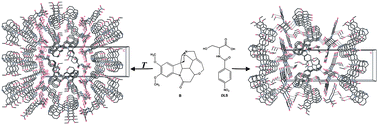 Graphical abstract: Crucial factors influencing racemic resolution of N-(4-nitrobenzoyl)-dl-serine by brucine