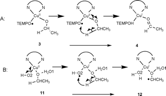 Graphical abstract: Mechanistic insight into alcohol oxidation mediated by an efficient green CuII-bipy catalyst with and without TEMPO by density functional methods