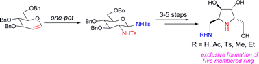 Graphical abstract: Design and synthesis of new amino-modified iminocyclitols: selective inhibitors of α-galactosidase