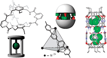 Graphical abstract: Anion binding in covalent and self-assembled molecular capsules