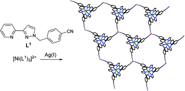 Graphical abstract: Hierarchical self-assembly of heteronuclear co-ordination networks