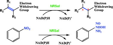 Graphical abstract: Nitroreductase from Salmonella typhimurium: characterization and catalytic activity