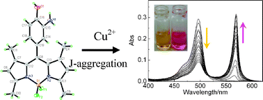 Graphical abstract: Specific Cu2+-induced J-aggregation and Hg2+-induced fluorescence enhancement based on BODIPY