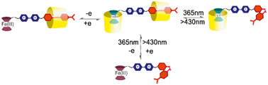 Graphical abstract: Dual-controllable stepwise supramolecular interconversions