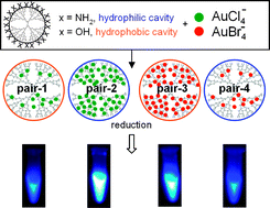 Graphical abstract: Enhanced quantum yield of dendrimer-entrapped gold nanodots by a specific ion-pair association and microwave irradiation for bioimaging