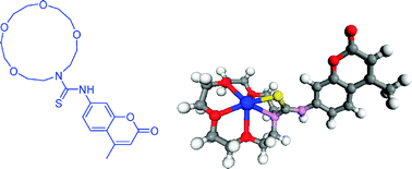 Graphical abstract: A “turn-on” coumarin-based fluorescent sensor with high selectivity for mercury ions in aqueous media