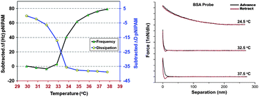 Graphical abstract: Colloid probe AFM study of thermal collapse and protein interactions of poly(N-isopropylacrylamide) coatings
