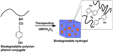 Graphical abstract: Injectable enzymatically crosslinked hydrogel system with independent tuning of mechanical strength and gelation rate for drug delivery and tissue engineering