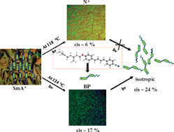 Graphical abstract: Light induced generation of stable blue phase in photoresponsive diphenylbutadiene based mesogen