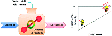 Graphical abstract: Self-assembly, stability quantification, controlled molecular switching, and sensing properties of an anthracene-containing dynamic [2]rotaxane