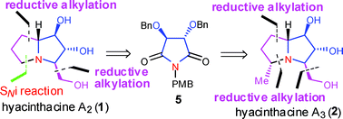 Graphical abstract: A flexible approach for the asymmetric syntheses of hyacinthacines A2, A3 and structural confirmation of hyacinthacine A3