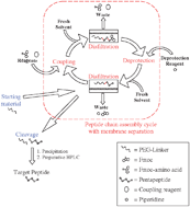 Graphical abstract: Membrane enhanced peptide synthesis