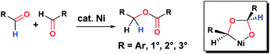 Graphical abstract: Nickel-catalyzed Tishchenko reaction via hetero-nickelacycles by oxidative cyclization of aldehydes with nickel(0) complex