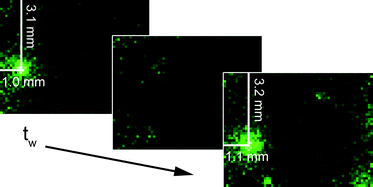 Graphical abstract: Unexpected spatial distribution of bubble rearrangements in coarsening foams