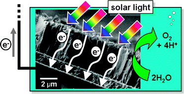 Graphical abstract: Fabrication and photoelectrochemical property of tungsten(vi) oxide films with a flake-wall structure