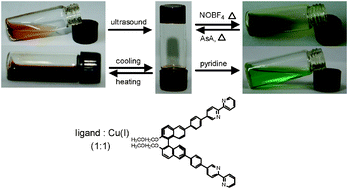 Graphical abstract: Chiral binaphthylbisbipyridine-based copper(i) coordination polymer gels as supramolecular catalysts