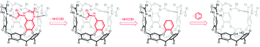 Graphical abstract: Self-folding cavitands: structural characterization of the induced-fit model