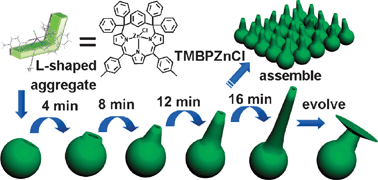 Graphical abstract: Construction of multidimensional nanostructures by self-assembly of a porphyrin analogue