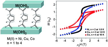 Graphical abstract: Synthesis, optical and magnetic properties of hybrid α,α′-oligothiophenecarboxylates/transition metal hydroxide multilayered compounds