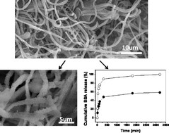 Graphical abstract: Green synthesis of chitosan-based nanofibers and their applications