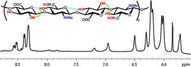 Graphical abstract: Experimental evidence of chemical exchange over the β(1→3) glycosidic linkage and hydrogen bonding involving hydroxy protons in hyaluronan oligosaccharides by NMR spectroscopy