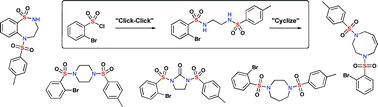 Graphical abstract: Reagent based DOS: A “Click, Click, Cyclize” strategy to probe chemical space