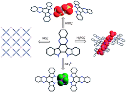 Graphical abstract: Fabrication of anion complexes from 5,6-dihydrodiindolo[3,2-a:2′,3′-c]phenazine as a building block