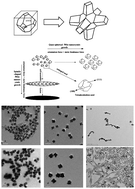 Graphical abstract: Growth orientation and shape evolution of colloidal lead selenide nanocrystals with different shapes