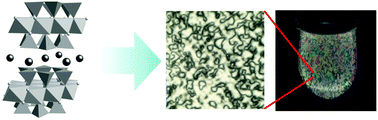 Graphical abstract: Liquid crystal phases in the aqueous colloids of size-controlled fluorinated layered clay mineral nanosheets