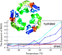 Graphical abstract: Low-frequency dynamics of bacteriorhodopsin studied by terahertz time-domain spectroscopy