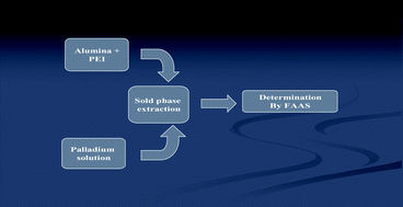 Graphical abstract: Flame atomic absorption determination of palladium after separation and preconcentration using polyethyleneimine water-soluble polymer/alumina as a new sorbent