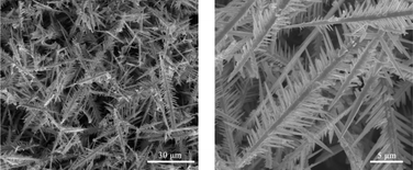 Graphical abstract: Large-scale synthesis of feather-like single-crystal Te via a biphasic interfacial reaction route