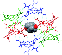 Graphical abstract: Nanotoroidal tubule assembled from a functionalized oxacalix[4]arene