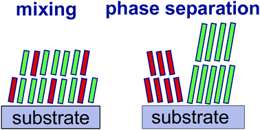 Graphical abstract: Phase-separation and mixing in thin films of co-deposited rod-like conjugated molecules