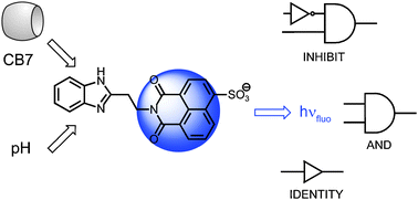 Graphical abstract: Supramolecular logic with macrocyclic input and competitive reset